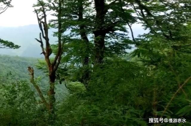 森迪公主快乐的一天
